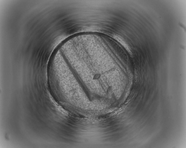 X0000097990980200804141137