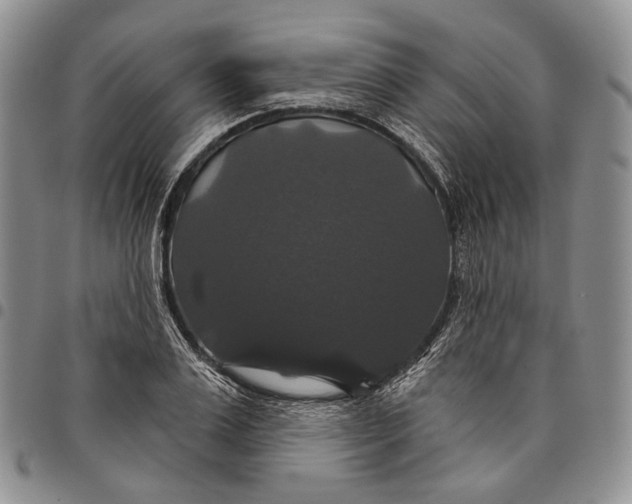 X0000097990983200804141137
