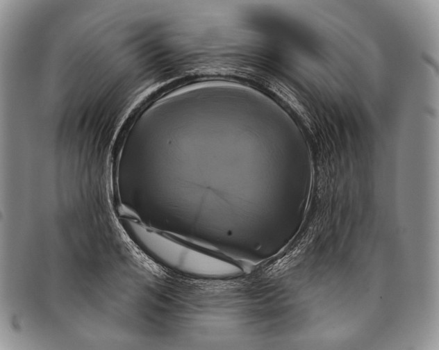 X0000097990984200804141137