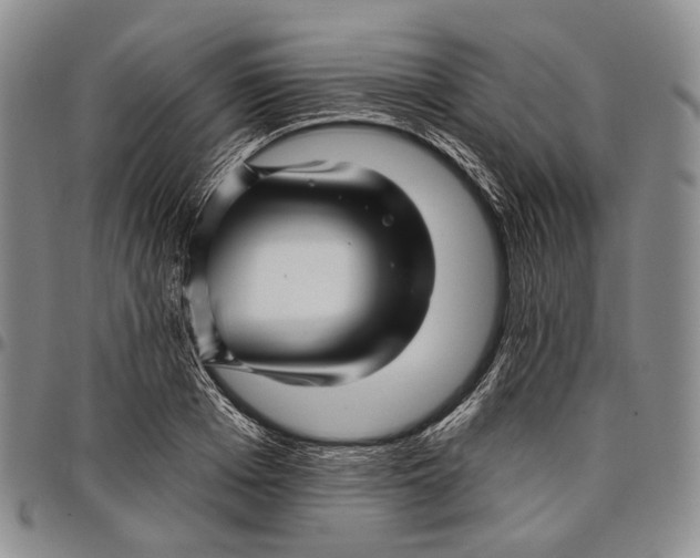X0000097990985200804141137
