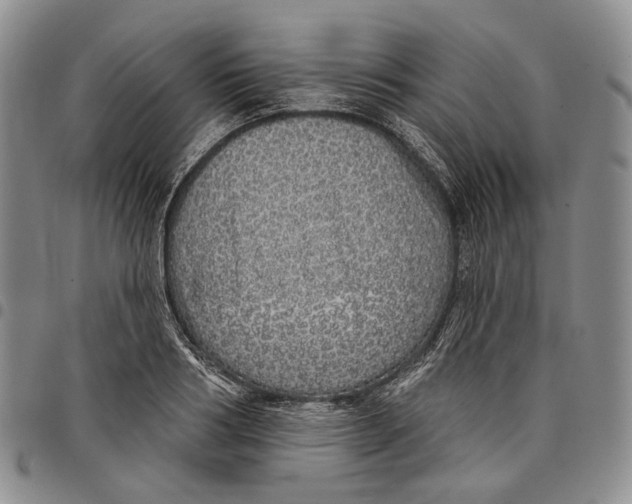 X0000097990986200804141137