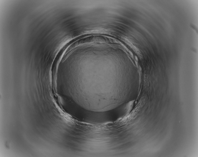 X0000097990988200804141137