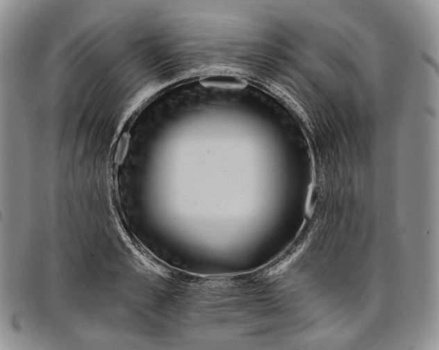 X0000097990989200804141137
