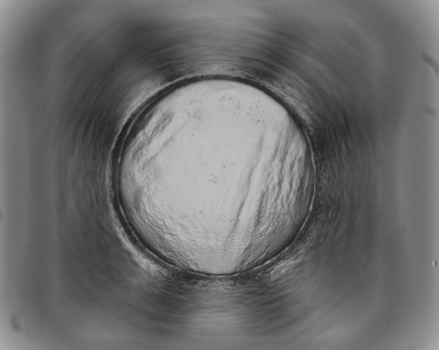 X0000097990991200804141137