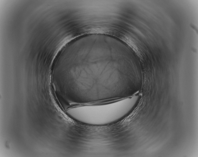 X0000097990992200804141137