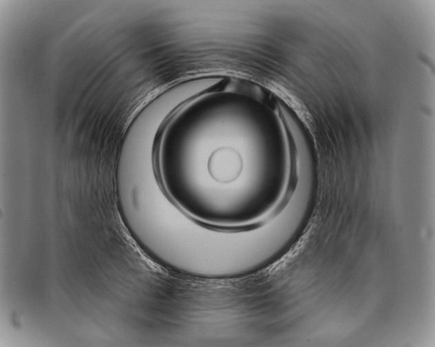 X0000097990993200804141137