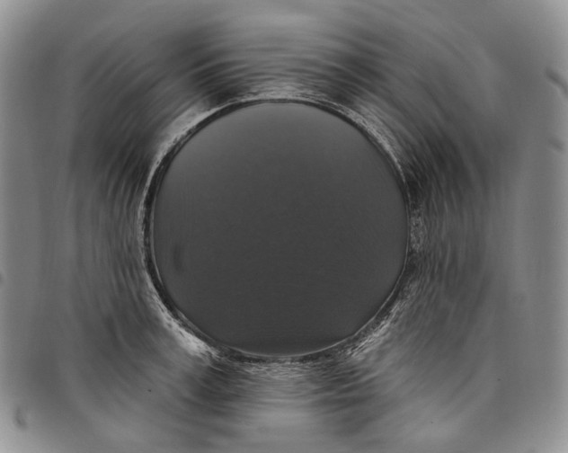 X0000097990995200804141137