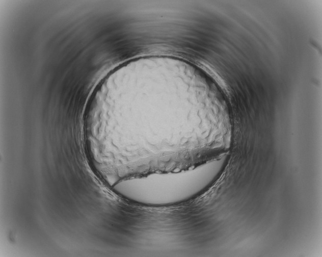 X0000097990996200804141137