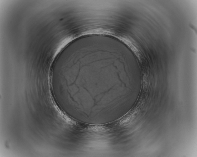 X0000097990998200804141137
