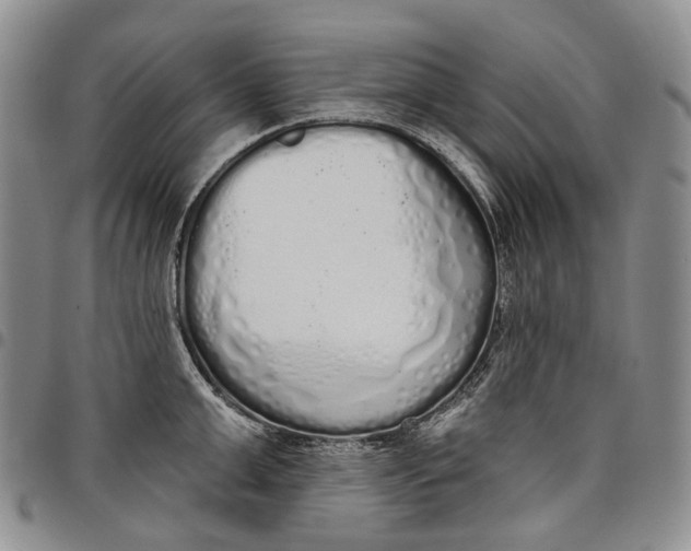 X0000097990999200804141137