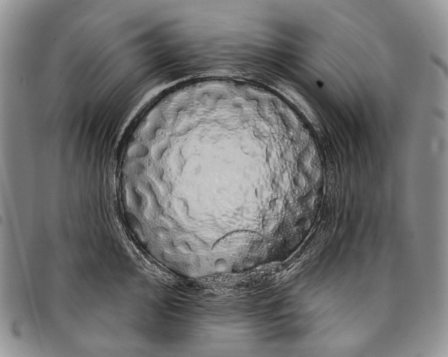 X0000097991000200804141137