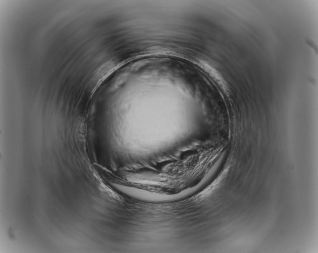X0000097991001200804141137