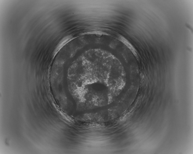 X0000097991002200804141137