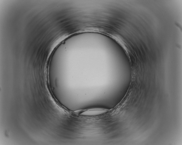X0000097991003200804141137