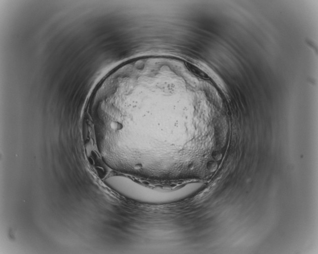 X0000097991004200804141137