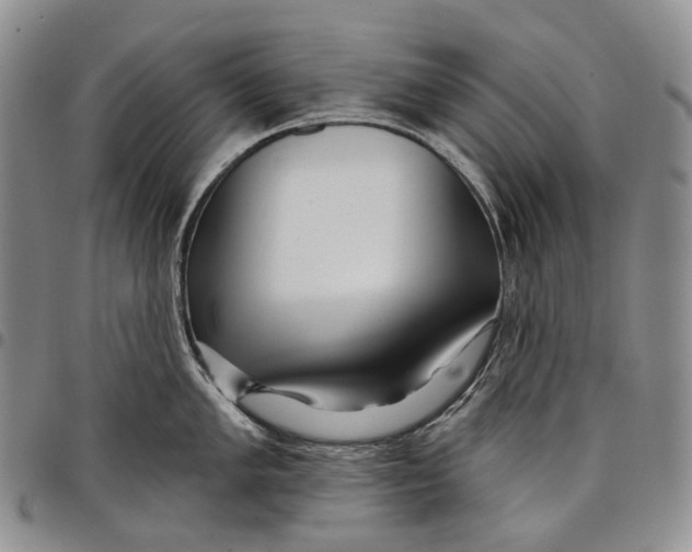 X0000097991005200804141137