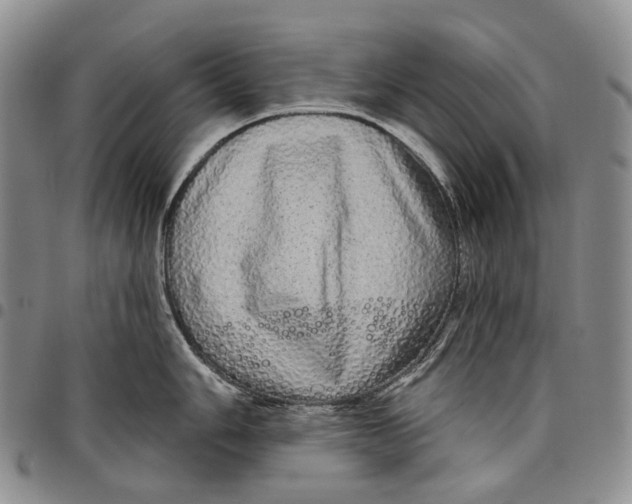 X0000097991006200804141137