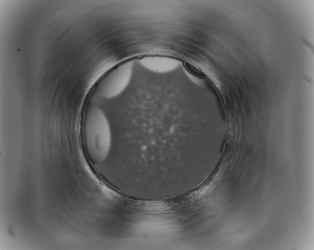 X0000097991007200804141137