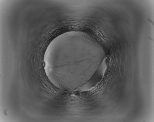 X0000097991009200804141136