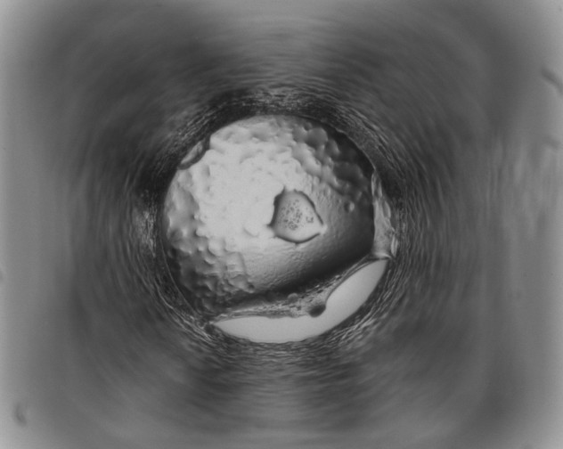 X0000097991010200804141136