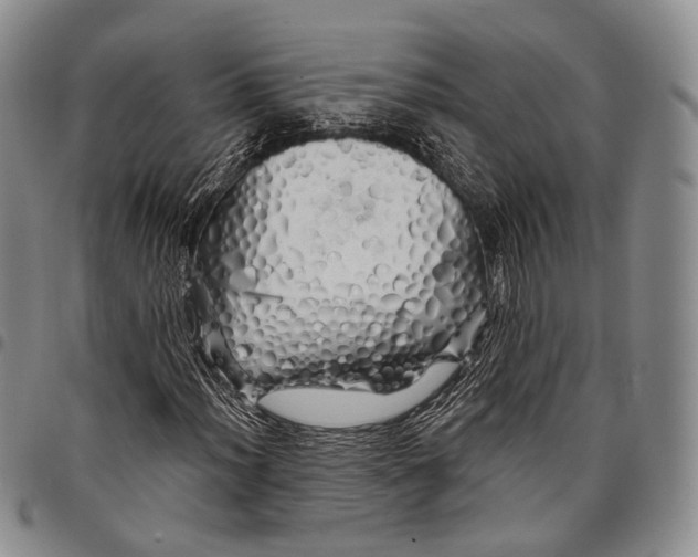 X0000097991012200804141136