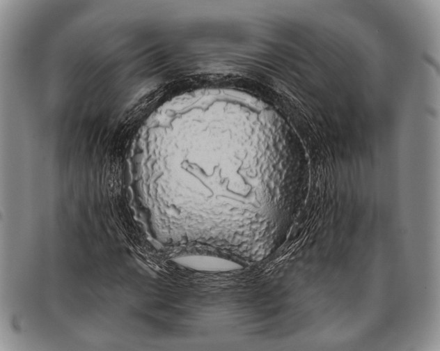X0000097991014200804141136