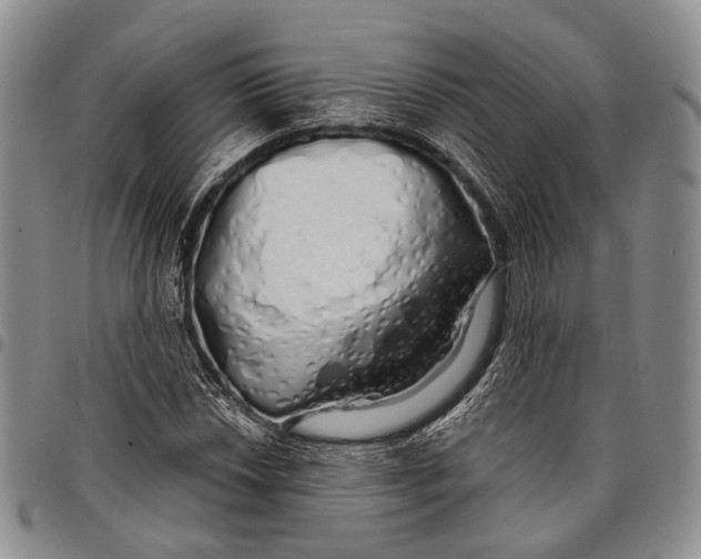 X0000097991018200804141136