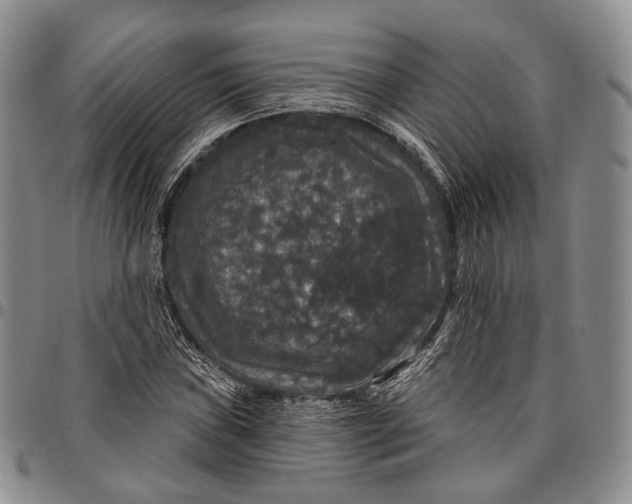 X0000097991019200804141136