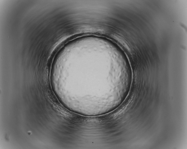 X0000097991021200804141136