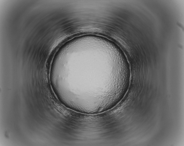 X0000097991022200804141136