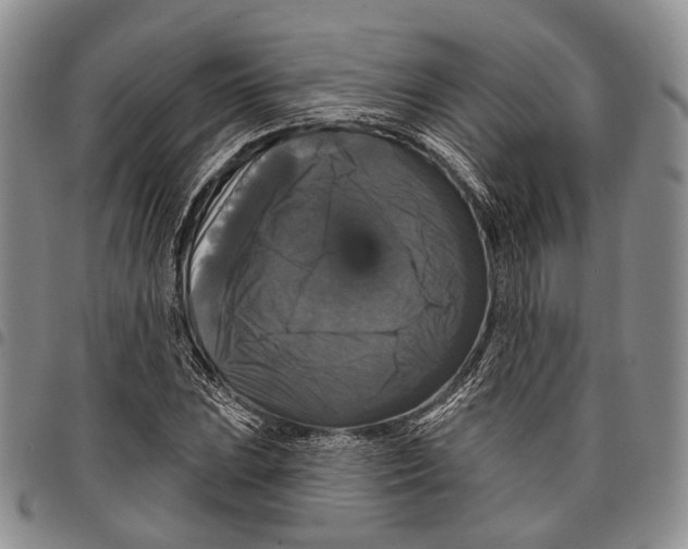 X0000097991023200804141136
