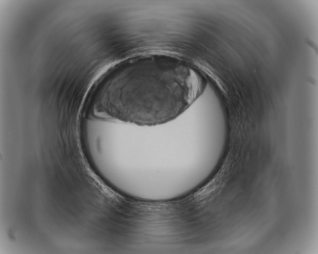 X0000097991024200804141136