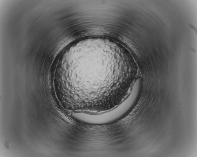 X0000097991026200804141136