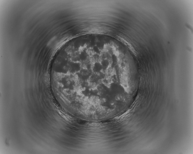 X0000097991027200804141136
