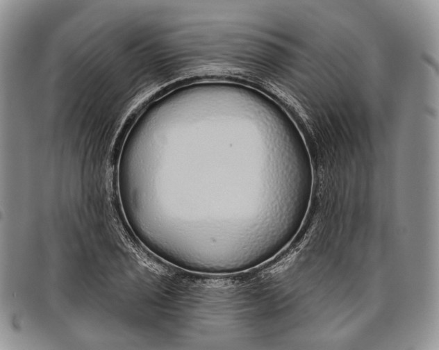X0000097991029200804141136