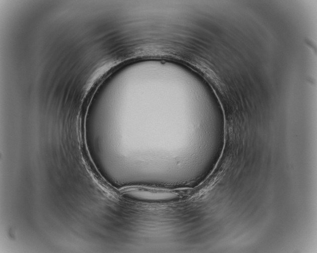 X0000097991030200804141136