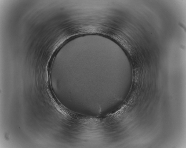 X0000097991031200804141136