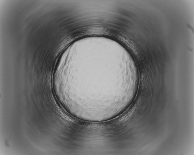 X0000097991033200804141136