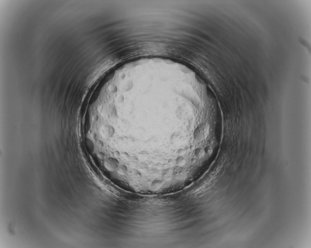 X0000097991034200804141137