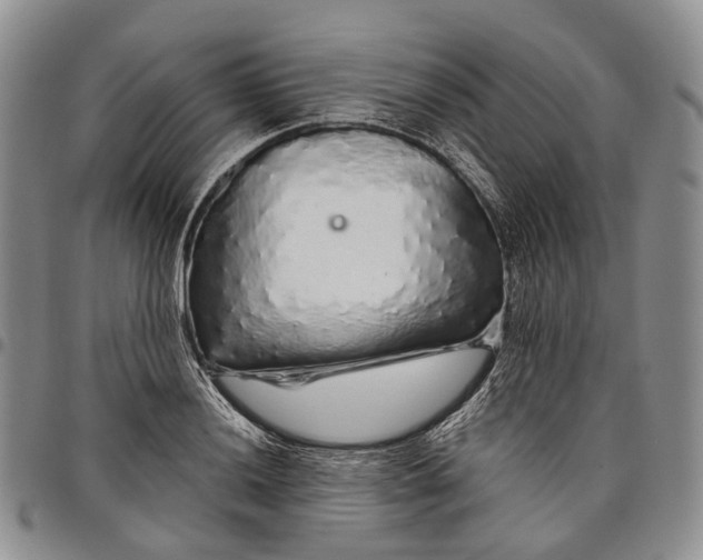 X0000097991036200804141137