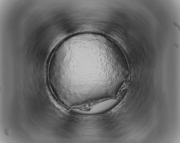 X0000097991038200804141137