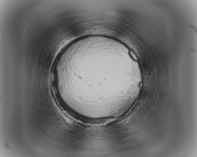 X0000097991040200804141137