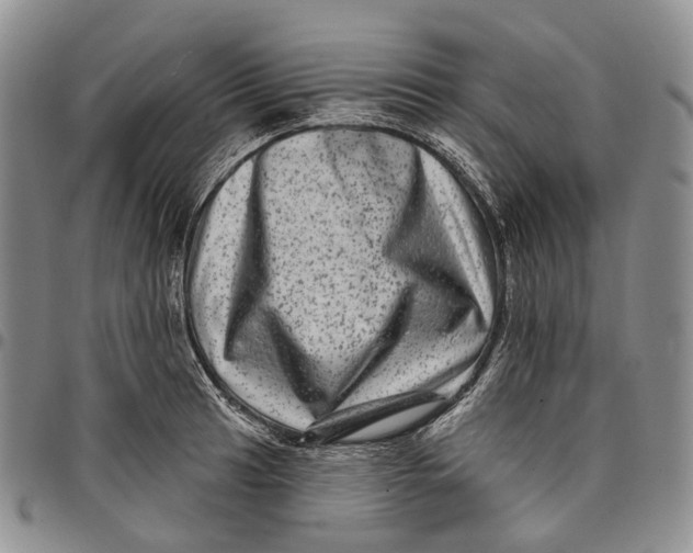 X0000097991041200804141137