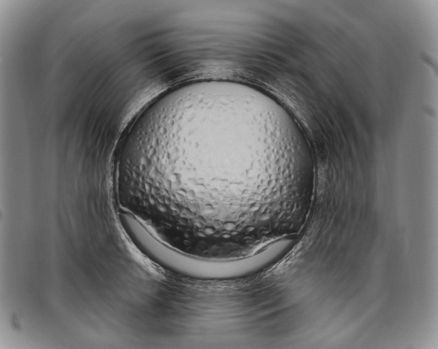 X0000097991042200804141137