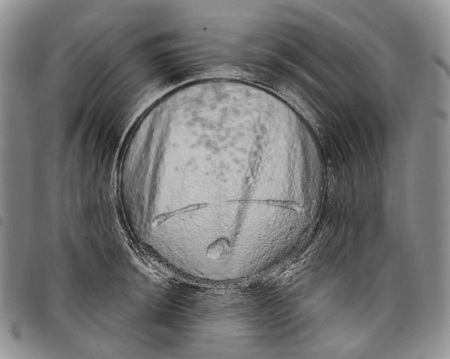 X0000097991044200804141137