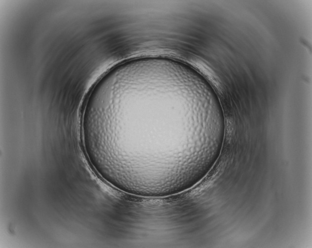 X0000097991046200804141137