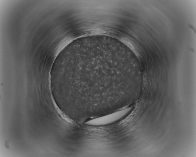 X0000097991047200804141137