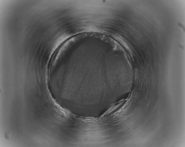 X0000097991048200804141137