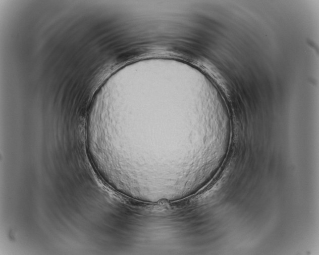 X0000097991049200804141137
