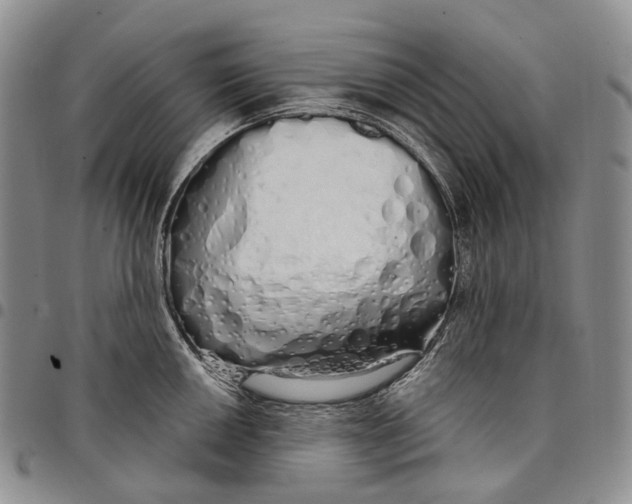X0000097991050200804141137